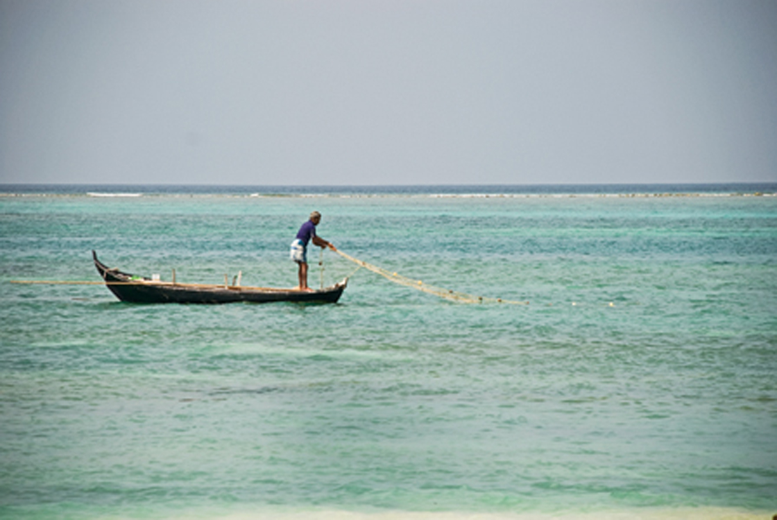 Marine Fisheries and Climate Change